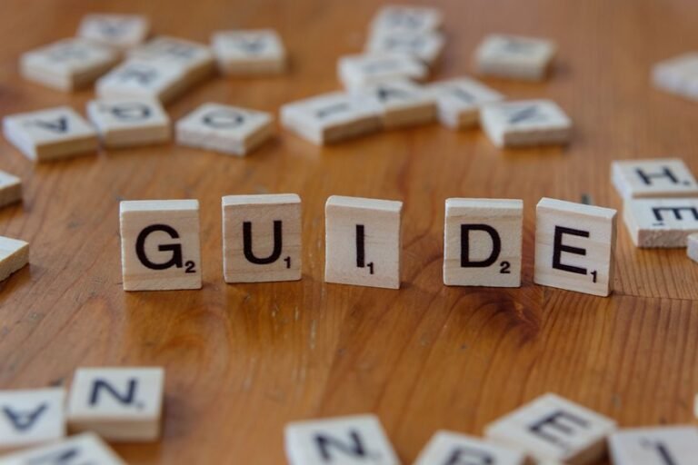a beginner s guide overview